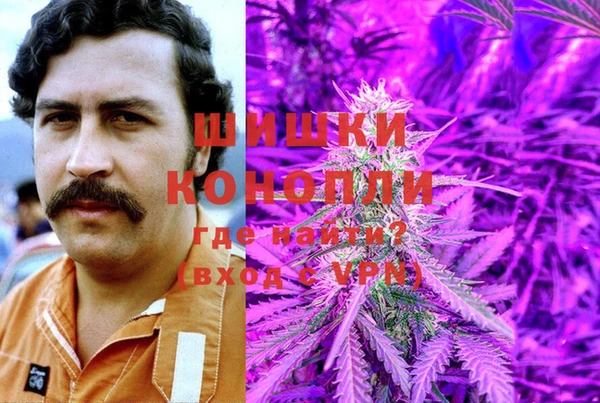 шишки Протвино