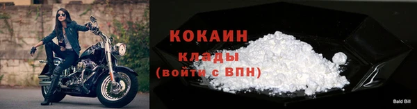 шишки Протвино