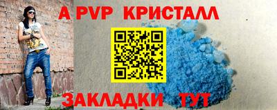 гашик Донской