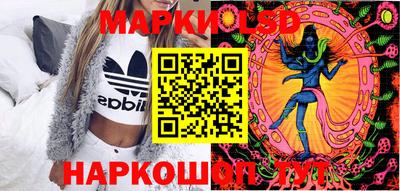 гашик Донской