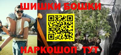 шишки Заволжье