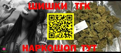 мдпв Жуковский