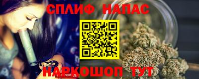 гашик Донской