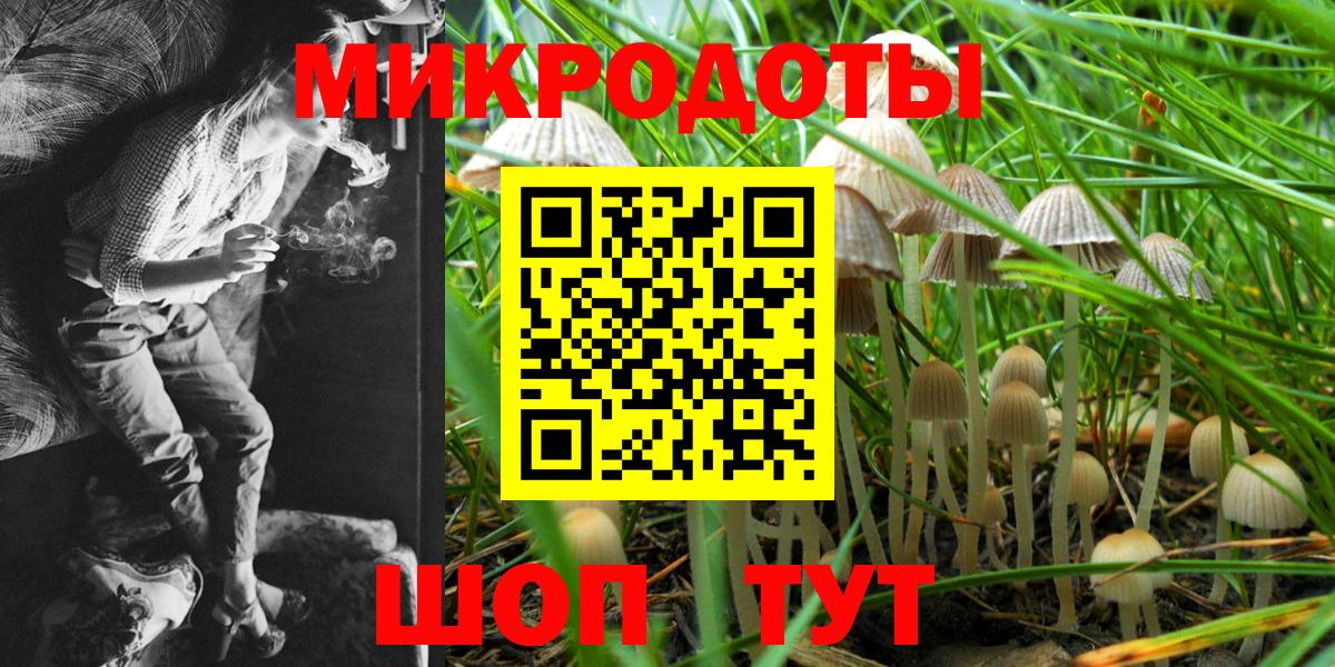 Светлоград  Псилоцибиновые грибы Cubensis  Вход с VPN 