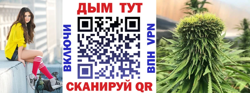 Бошки марихуана White Widow где купить наркоту Светлоград